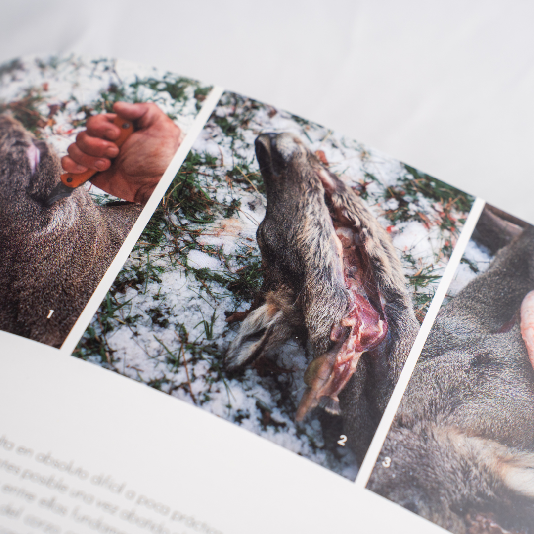 Roe deer, from the field to the table