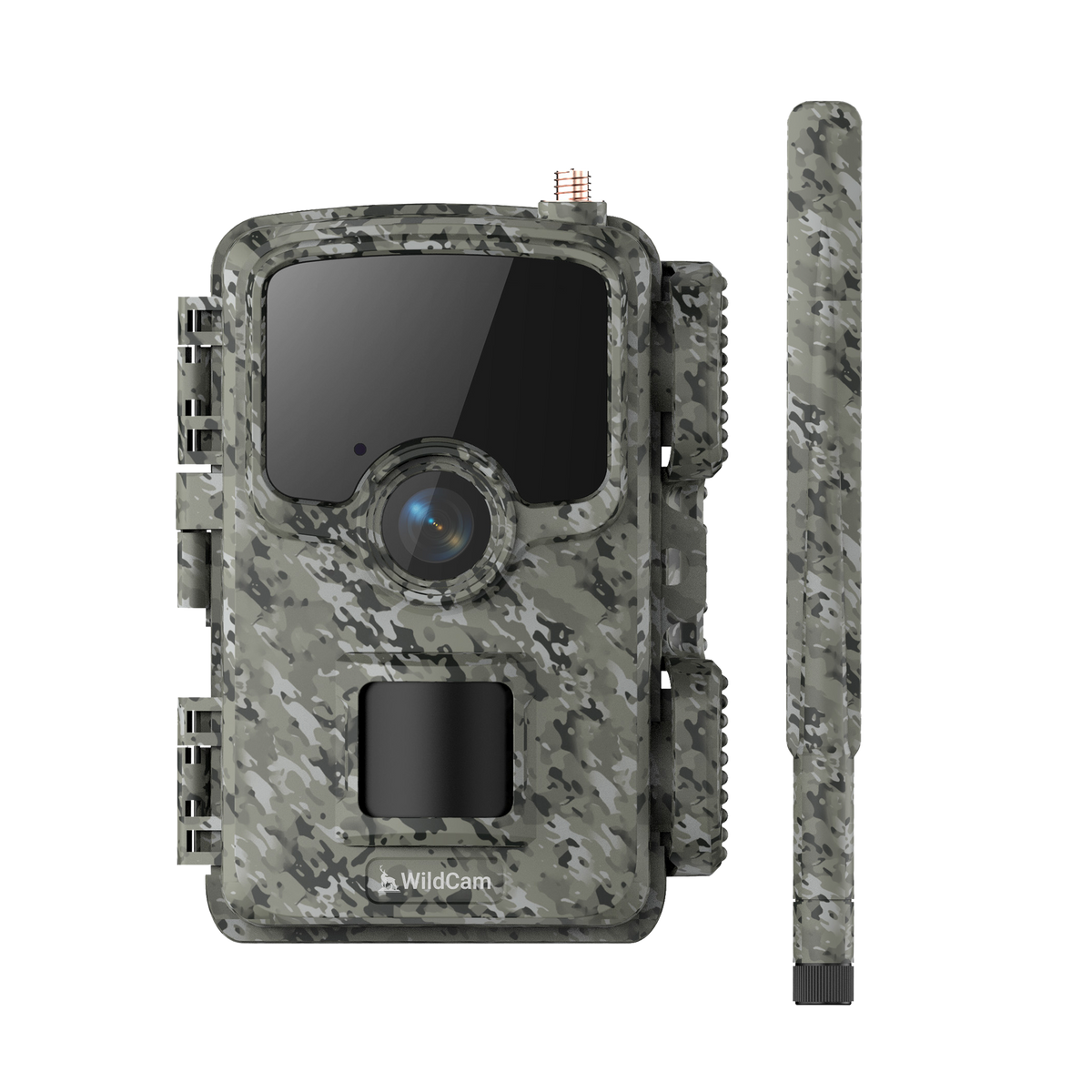 WildCam