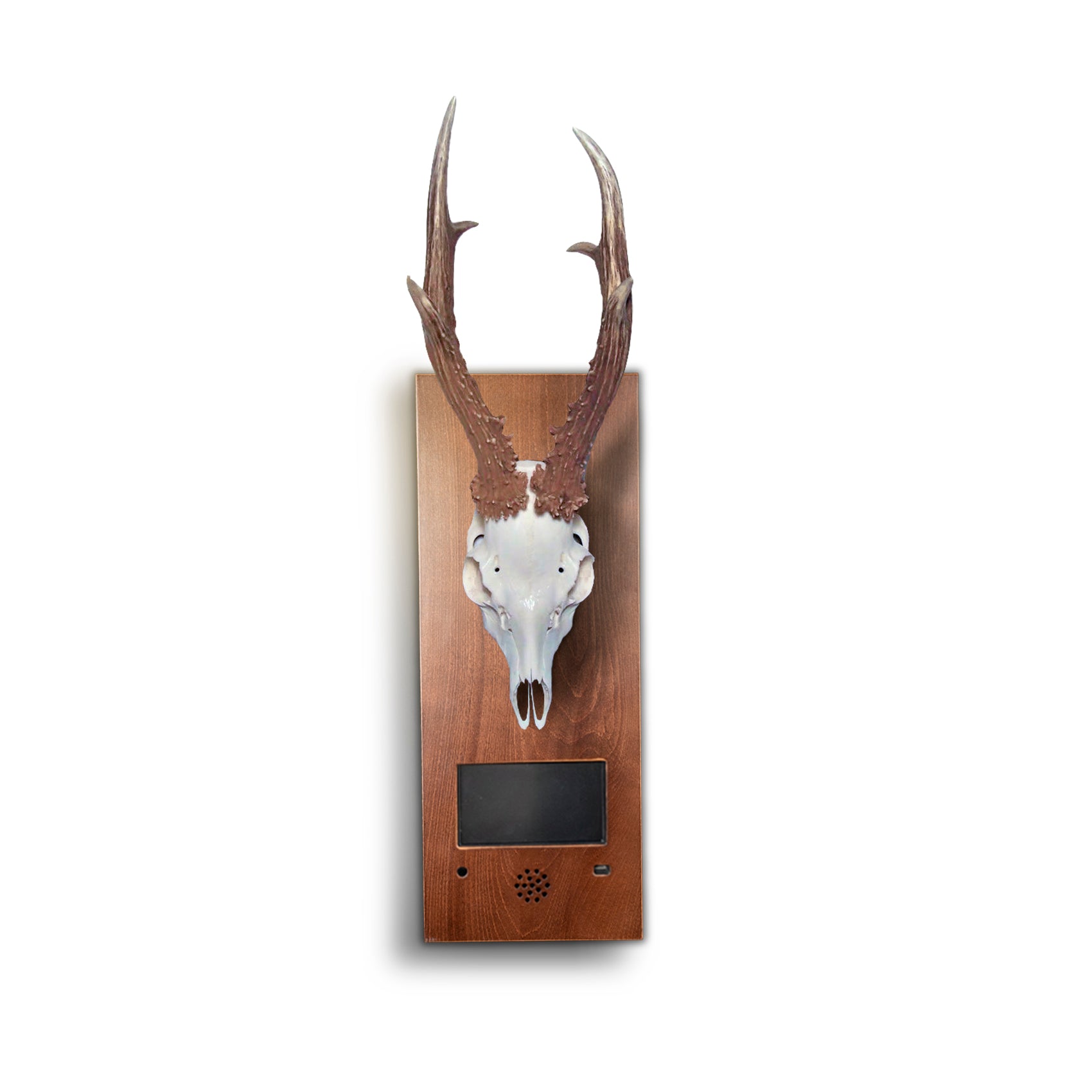 Wildscreen Dahl - Young Wild Hunters