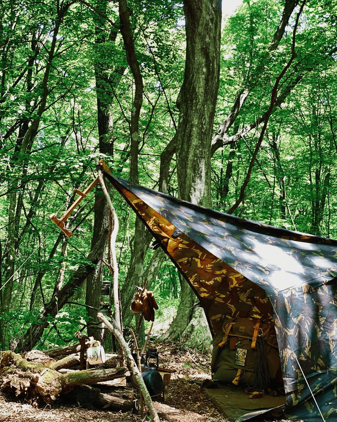 Lona Oilskin Prepper Camo de edición limitada - Young Wild Hunters
