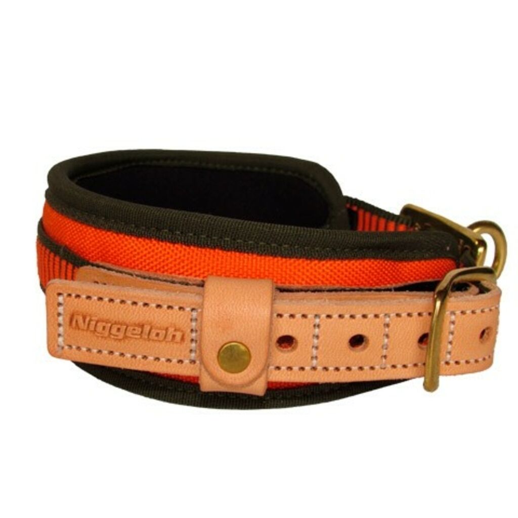 Niggeloh Blood Tracking Dog Collar