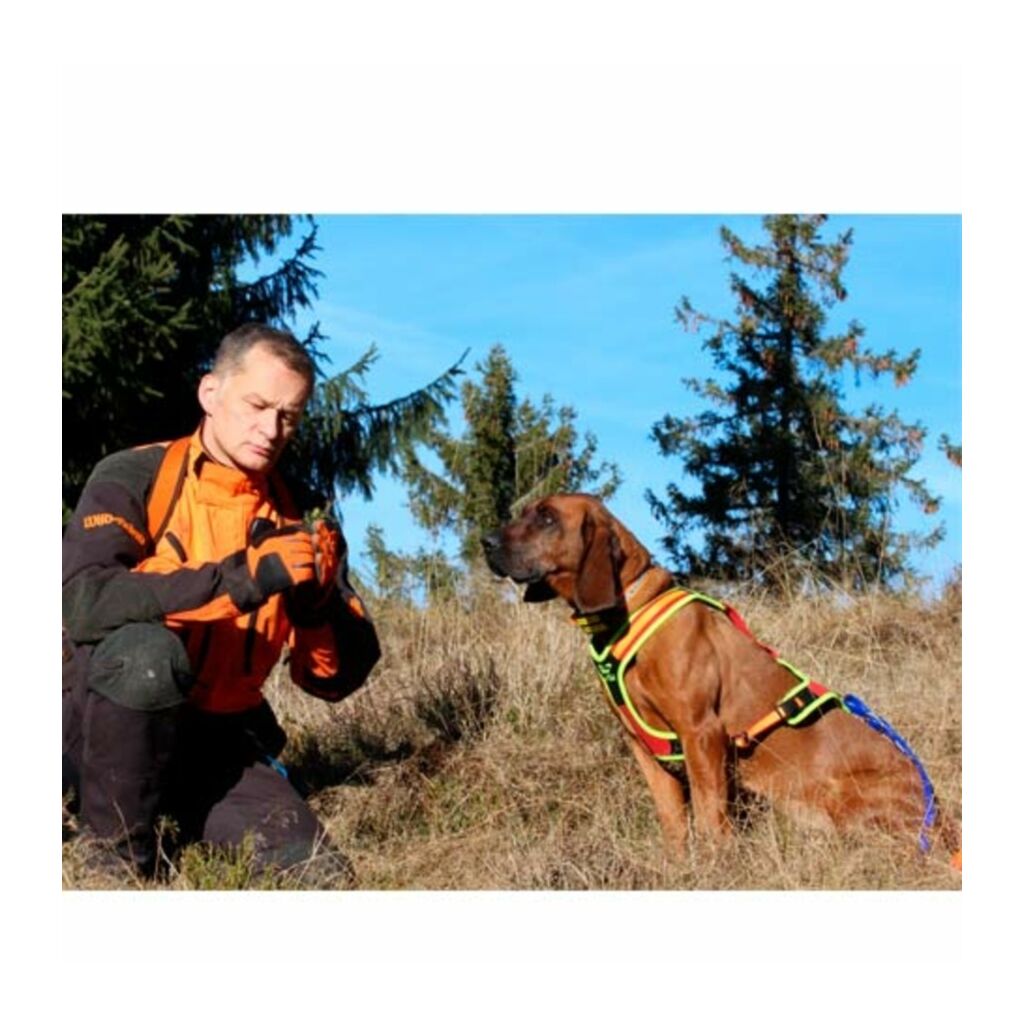 Niggeloh Follow Trail Harness