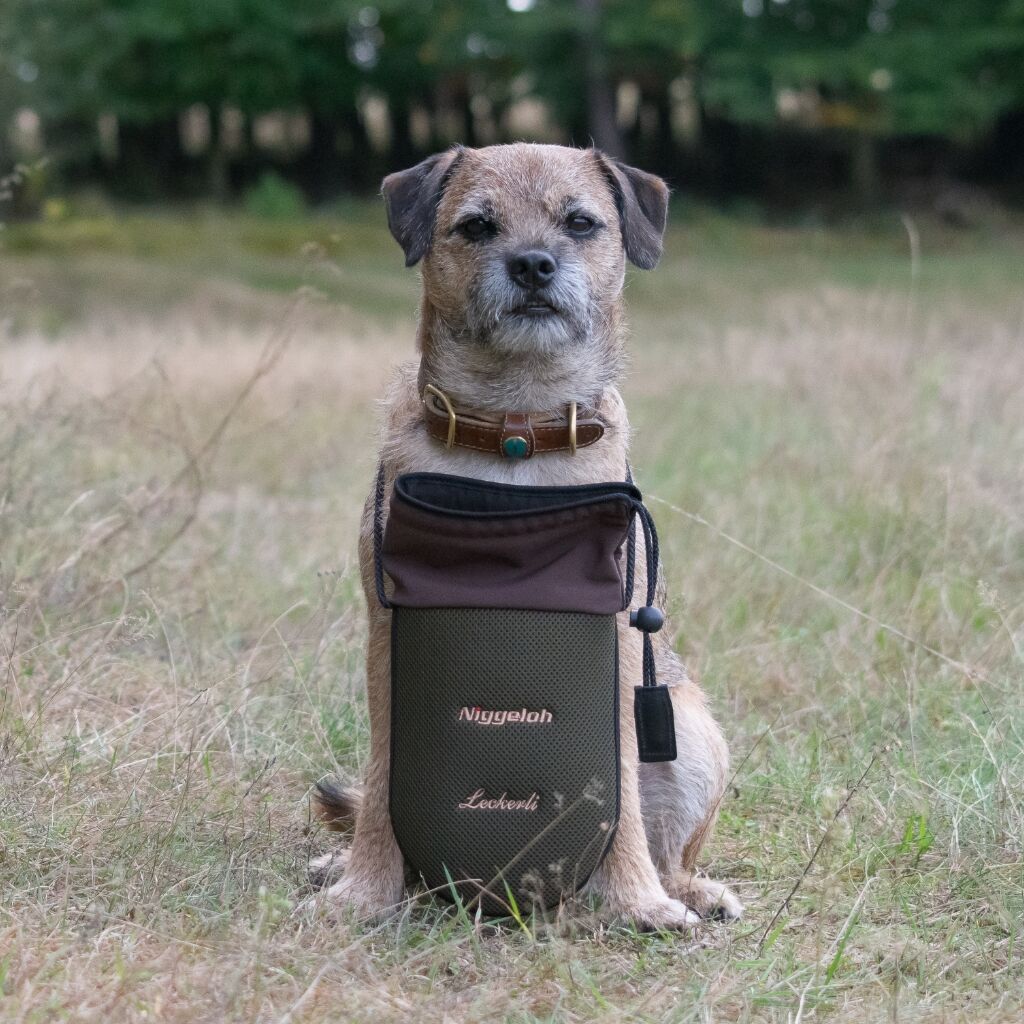 Bolsa de golosinas para perros Niggeloh Quick