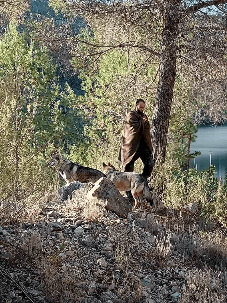 Poncho Merino 100% Premium - Young Wild Hunters