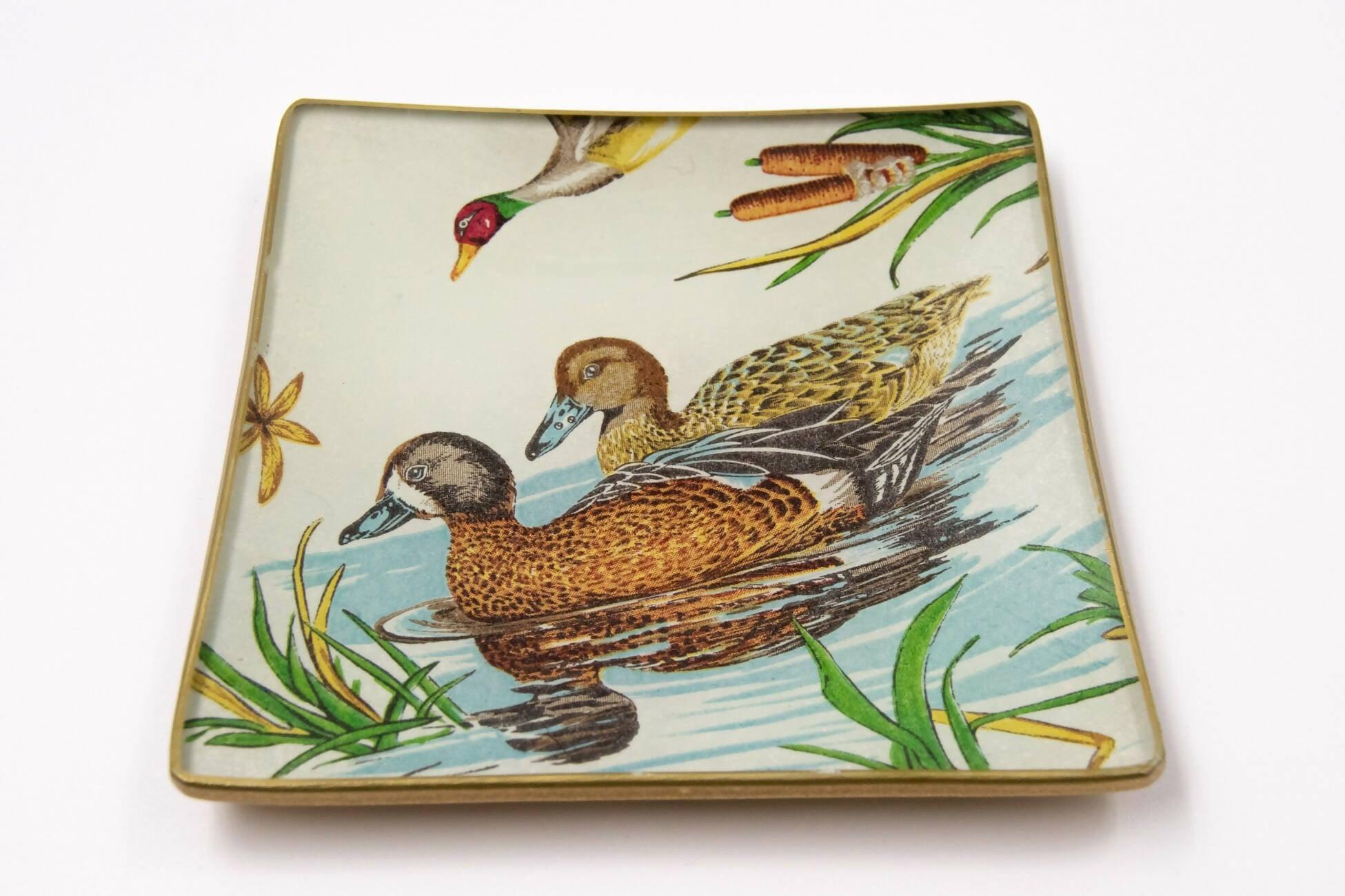 ESTAMPADO PATOS Conjunto 4 piezas Tellerwelt - Young Wild Hunters