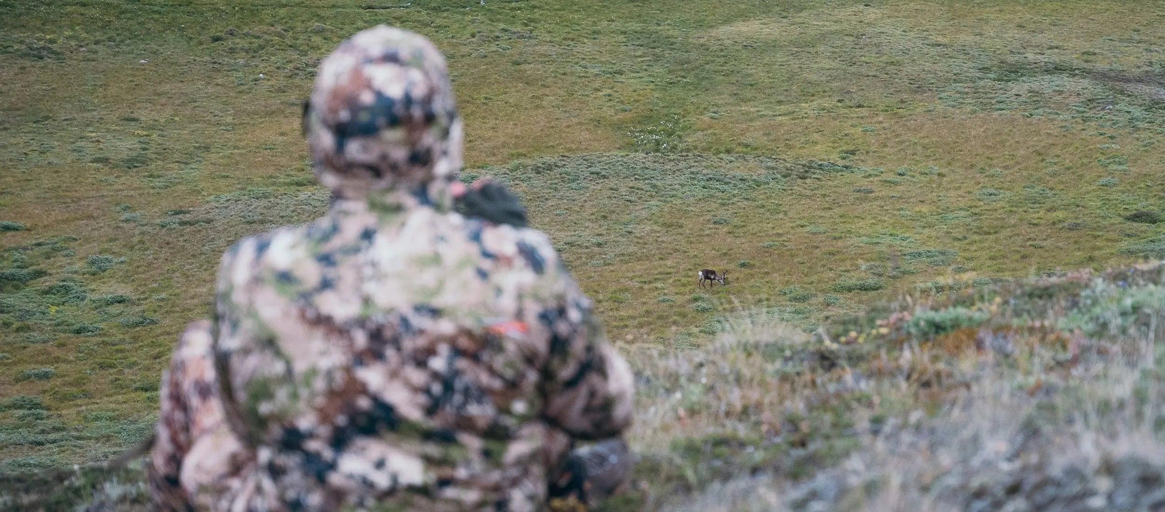 Caza - Young Wild Hunters