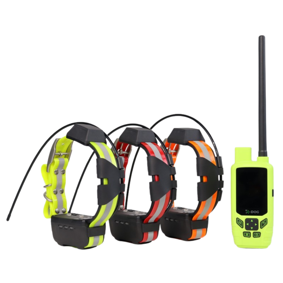 Localizador IOCUS Apolo y collar NOVA