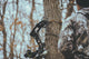 Arco y ballesta icon