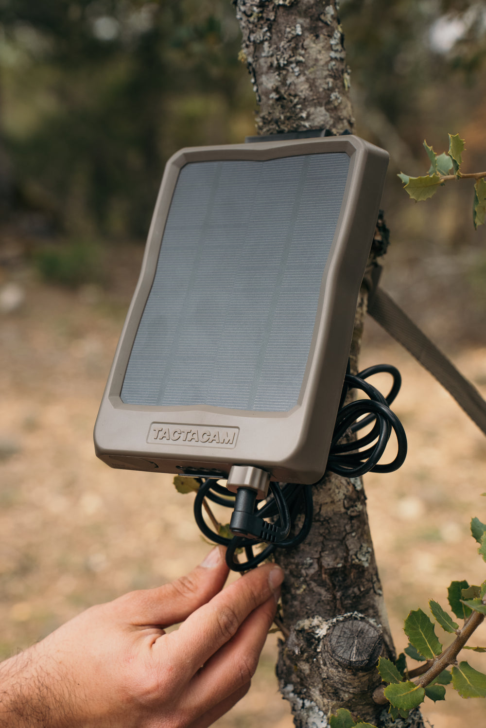 Panel Solar Reveal X - Tactacam