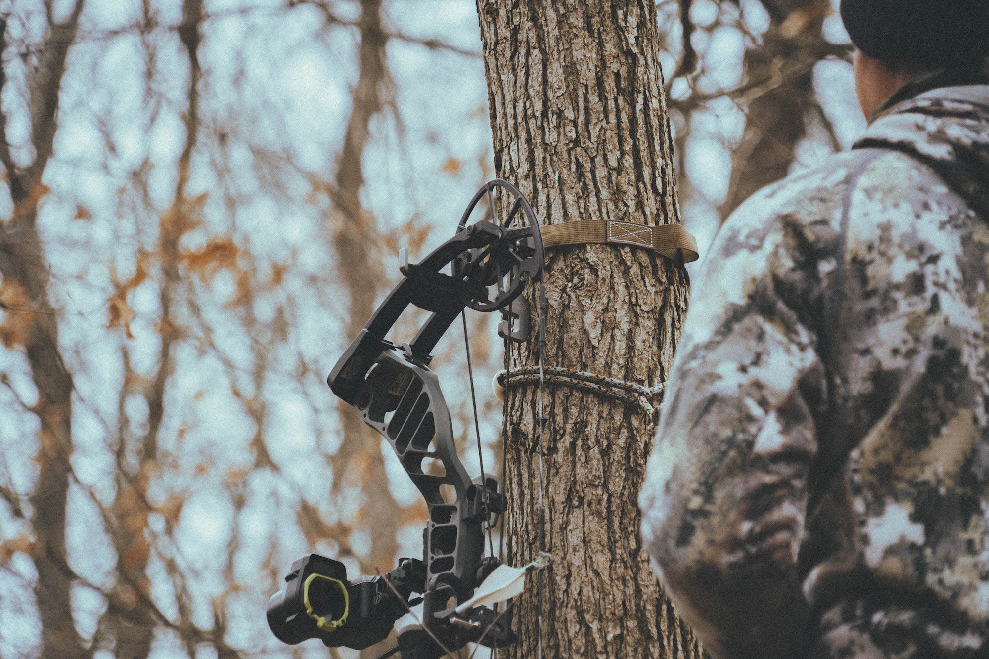 Bite Bow Hanger