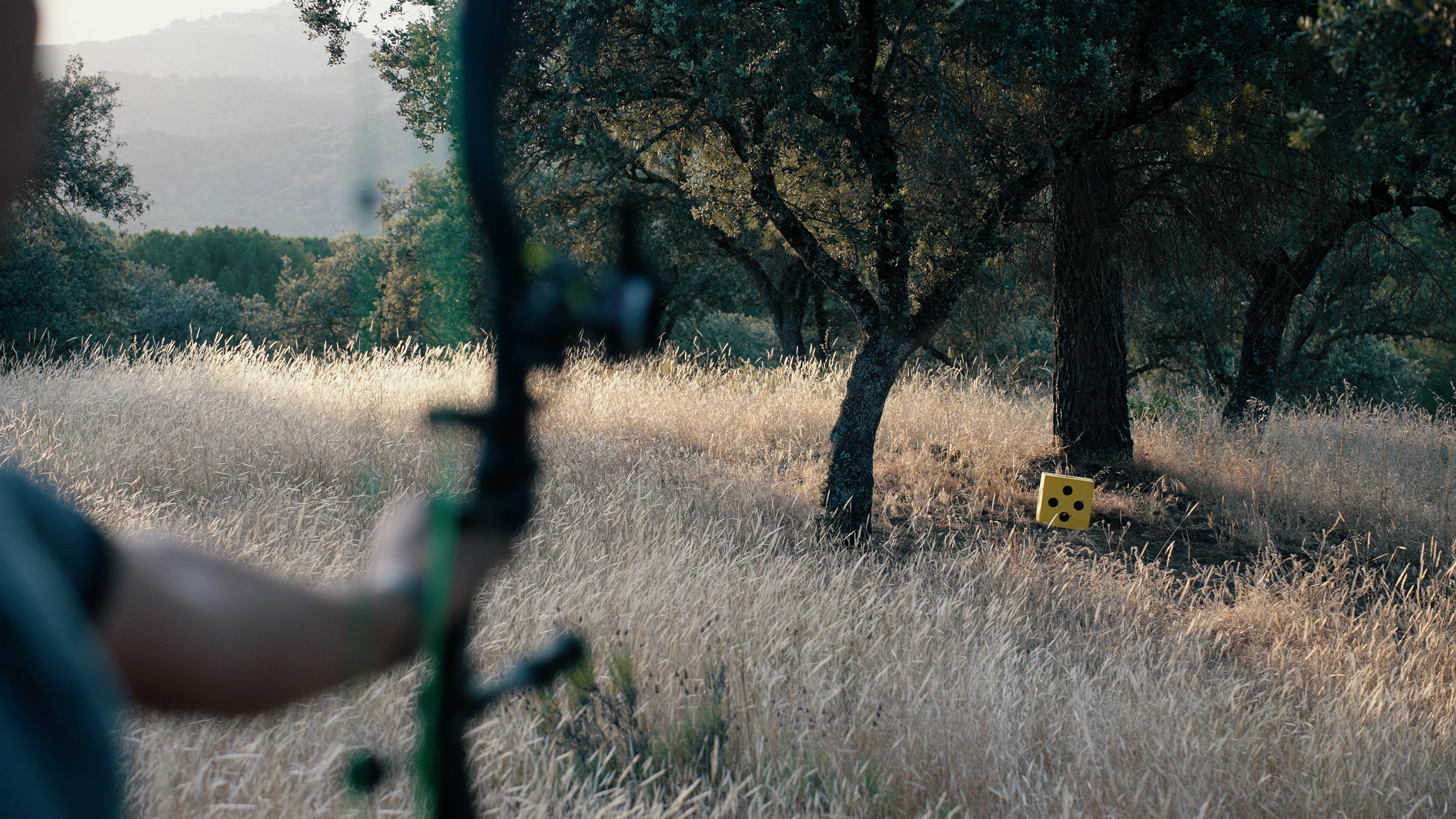 14 X 14 X 14 TRADITIONAL CUBE TARGET