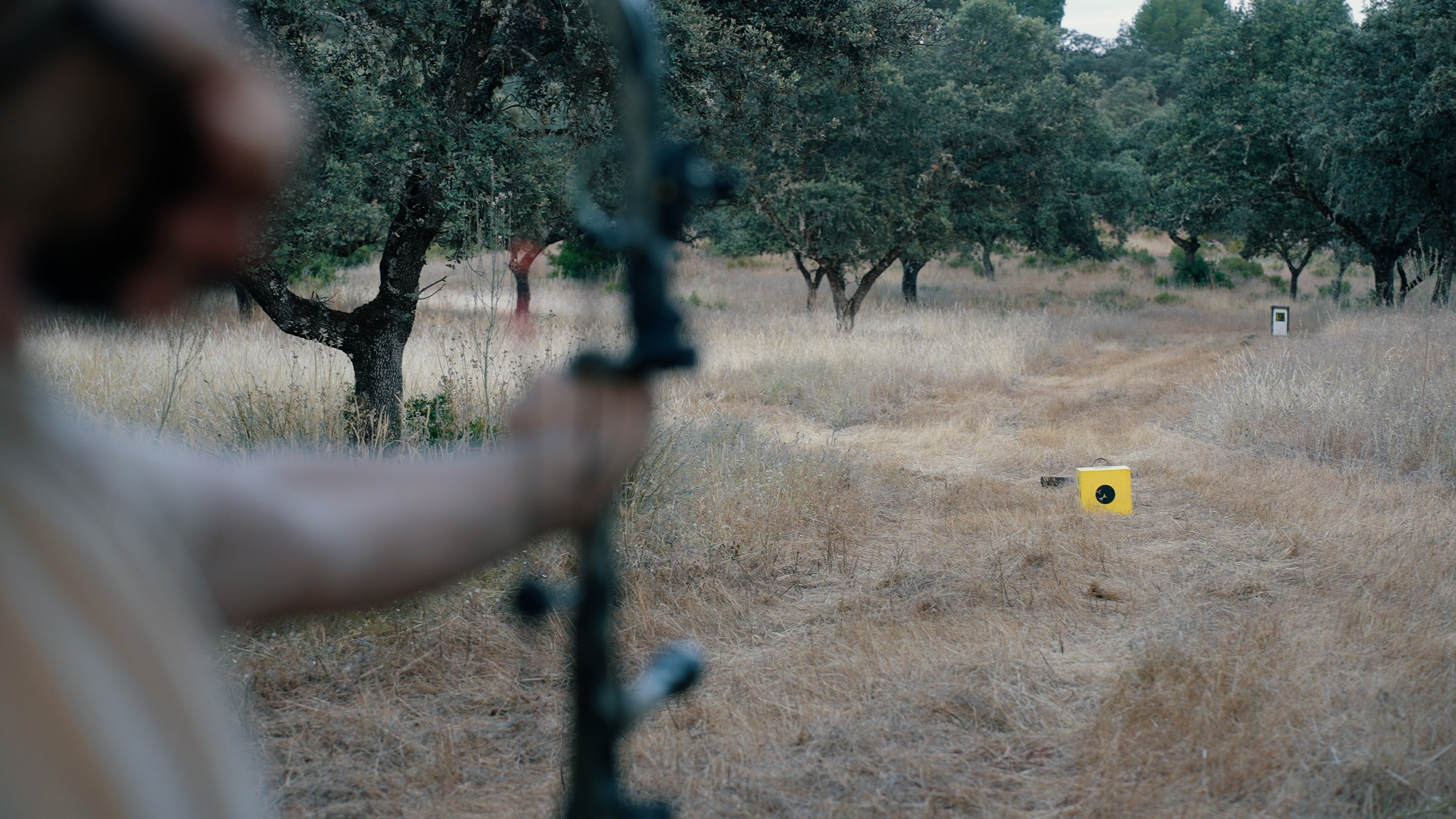 5 CORE HIGH PERFORMANCE TARGET SYSTEM (48″)