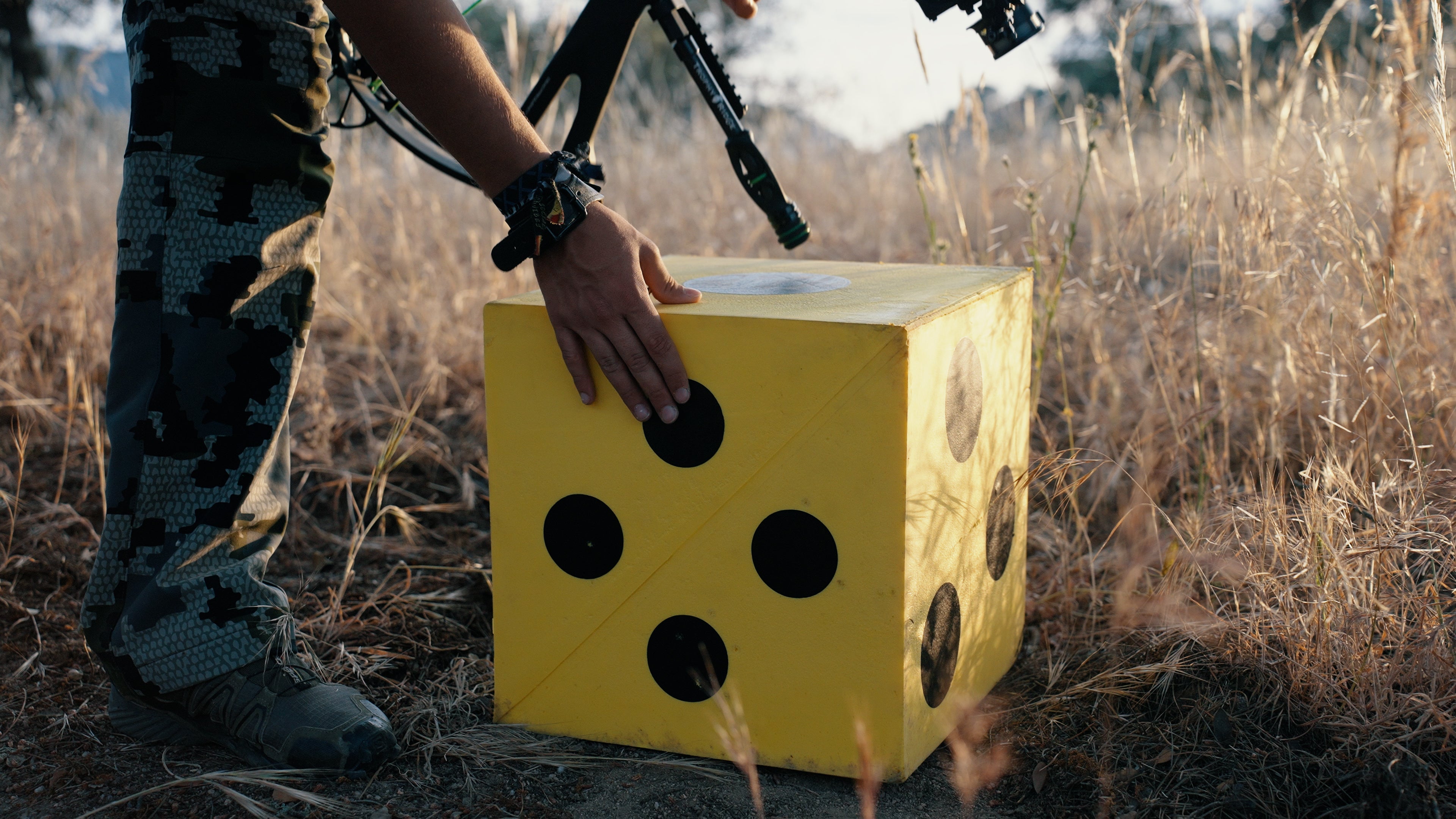 5 CORE HIGH PERFORMANCE TARGET SYSTEM (48″)