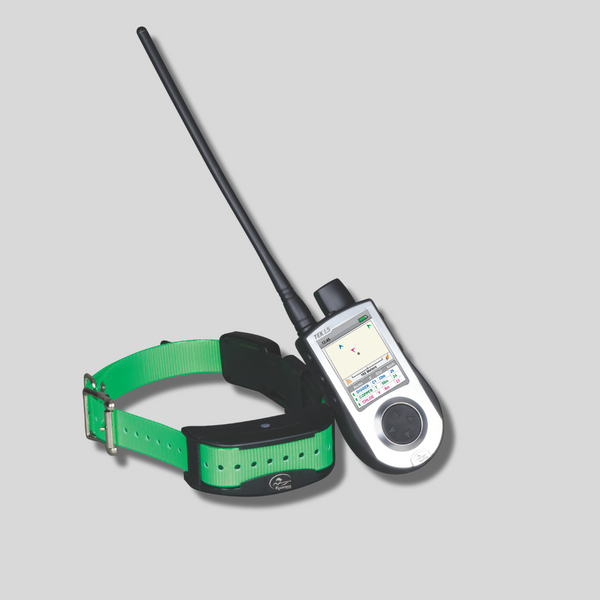 GPS + ADIESTRAMIENTO TEK 1,5 + ADIESTRAMIENTO