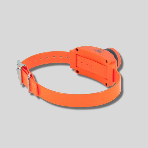 COLLARES ADICIONALES SERIE TEK COLLAR BEEP-E