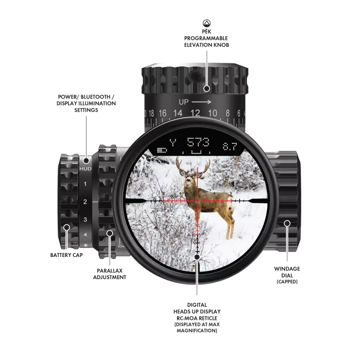 BURRIS VERACITY PH 4-20X50