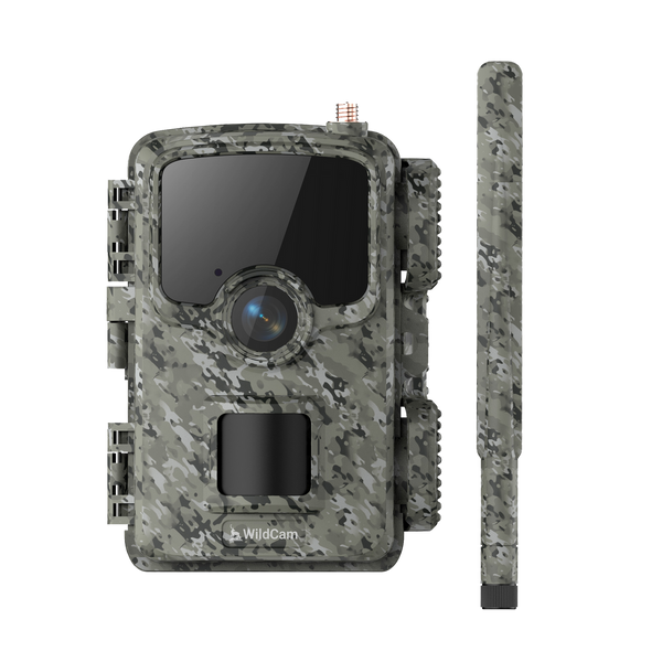 WildCam