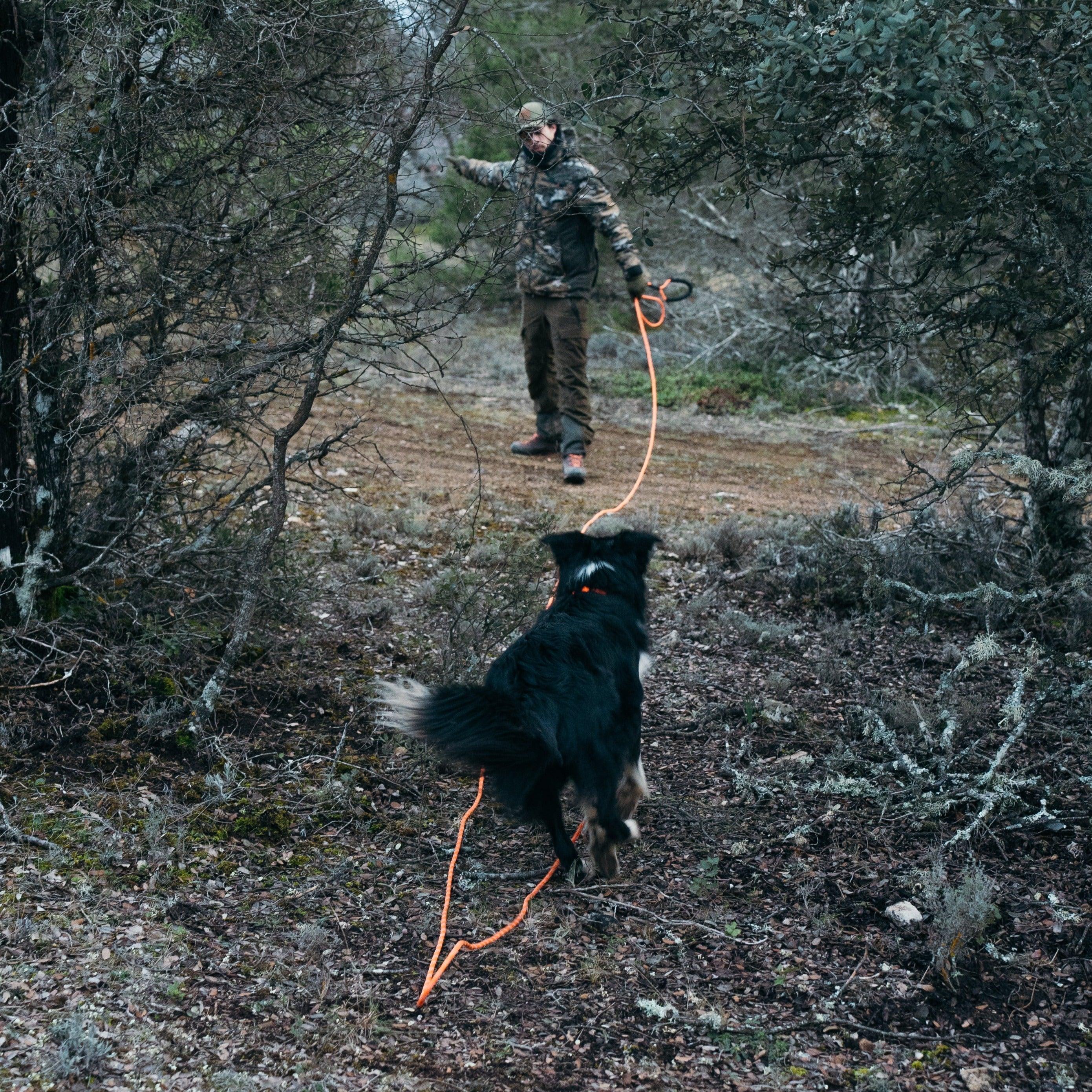 Correa Rastreo 10 metros YWH - Young Wild Hunters