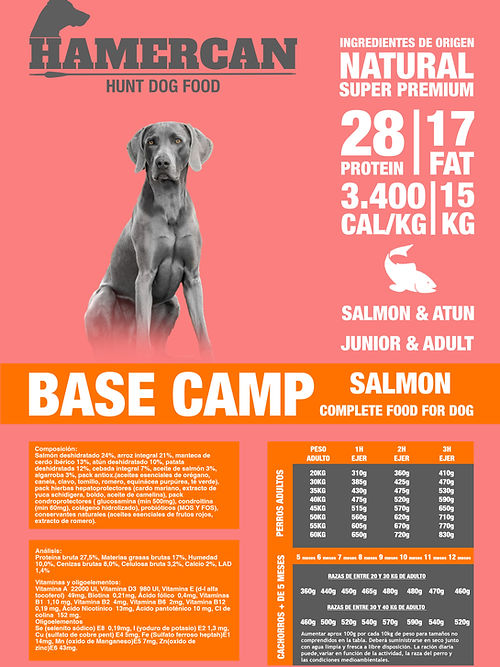 BASE CAMP SALMÓN