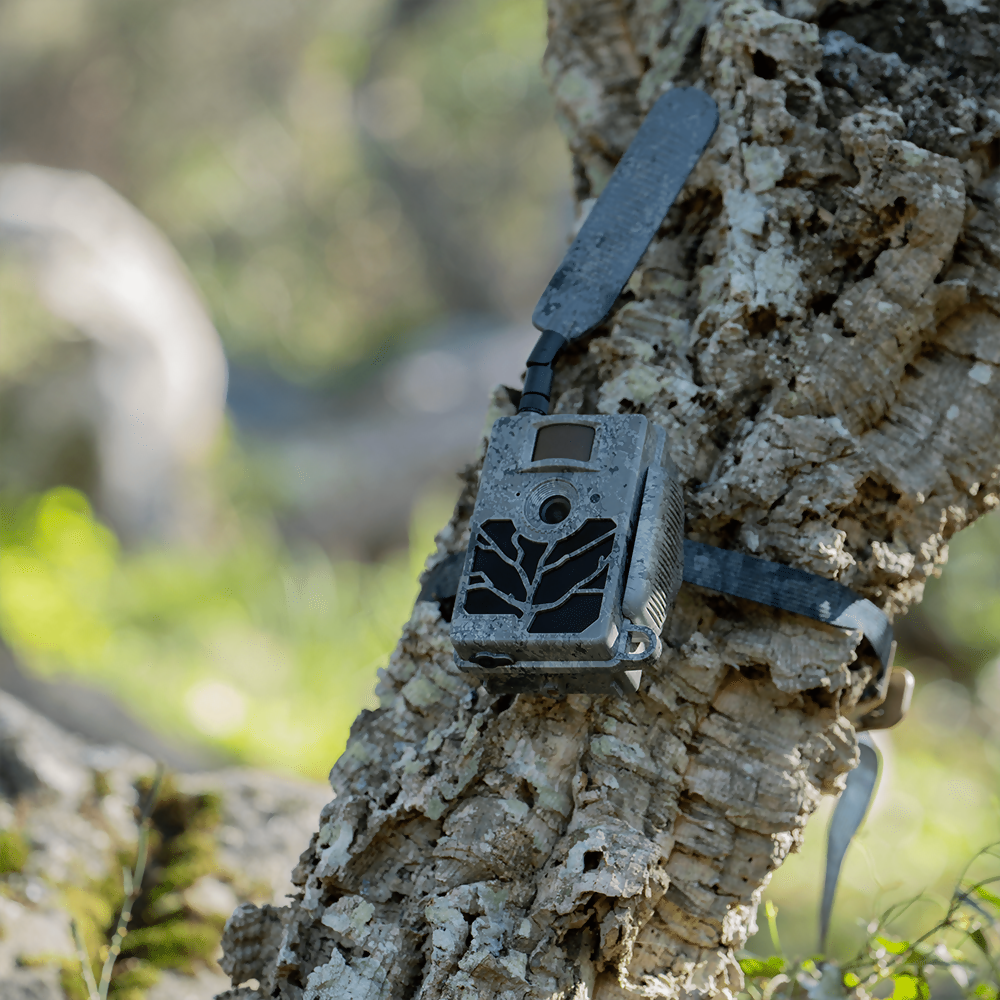 ZEISS_Secacam_5_Gran_Angular_08.png