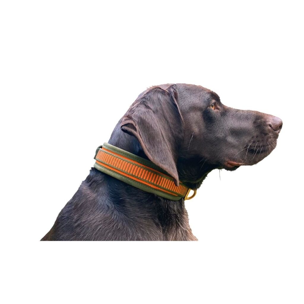Collar Niggeloh DeLuxe