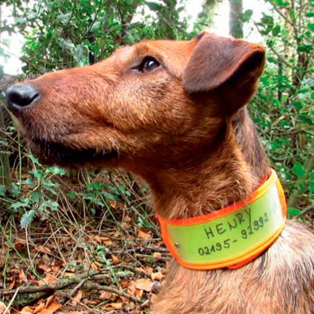 Nigceloh Reflective Collar for Tracking Dogs