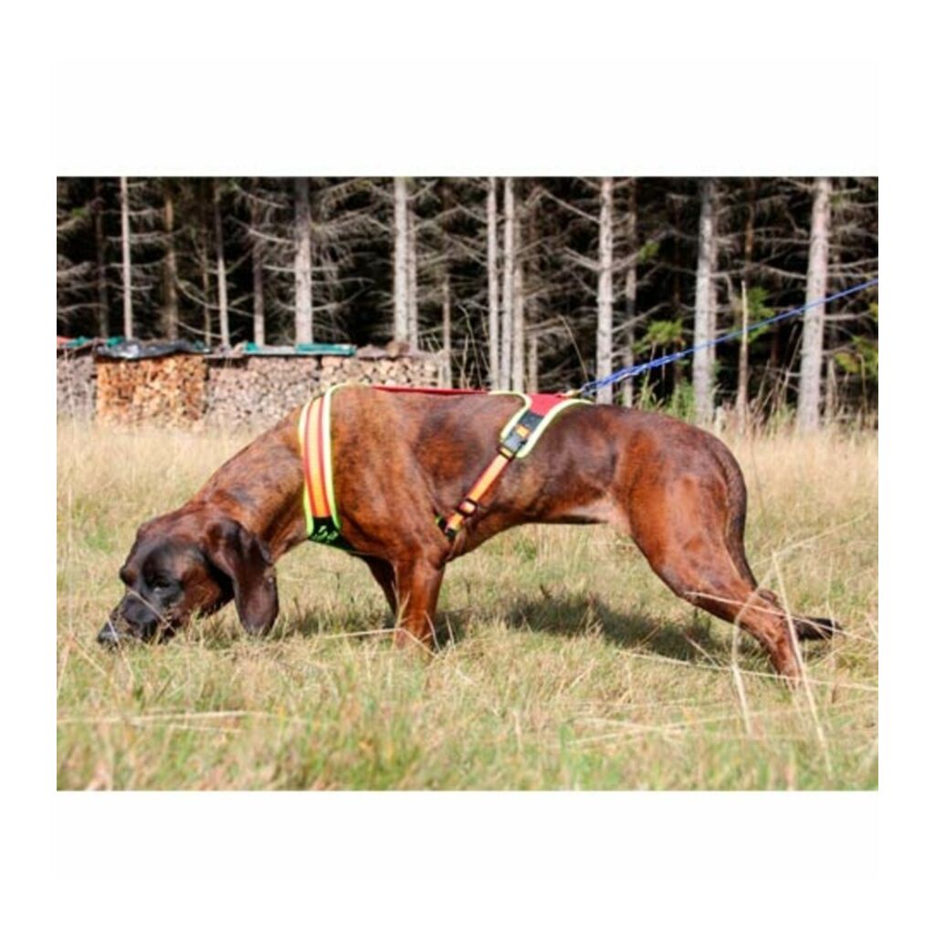 Niggeloh Follow Trail Harness