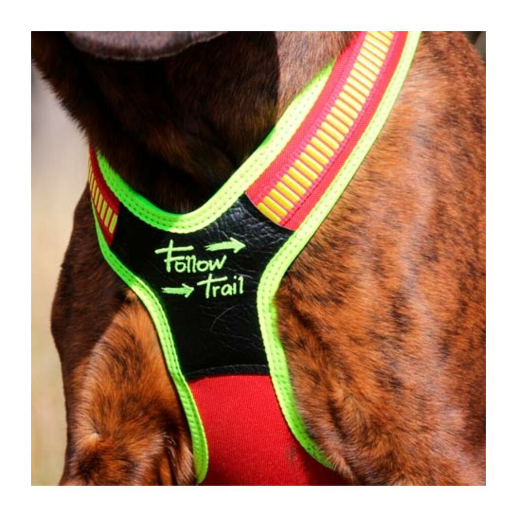 Niggeloh Follow Trail Harness