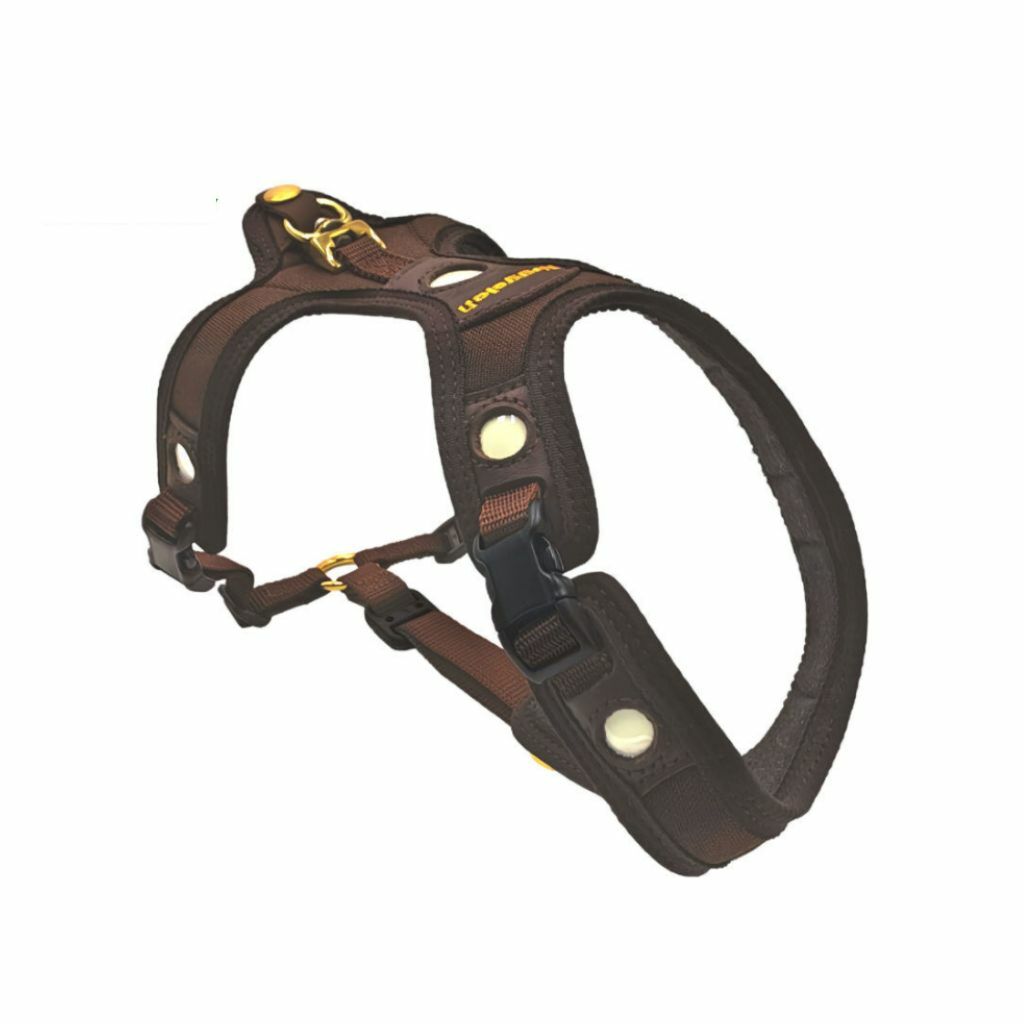 Niggeloh Follow Light Lichtblick Dog Harness