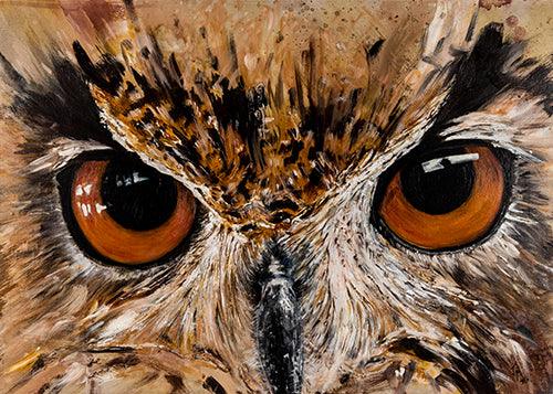 Cuadro Mirada de Búho Jorge Manzanares