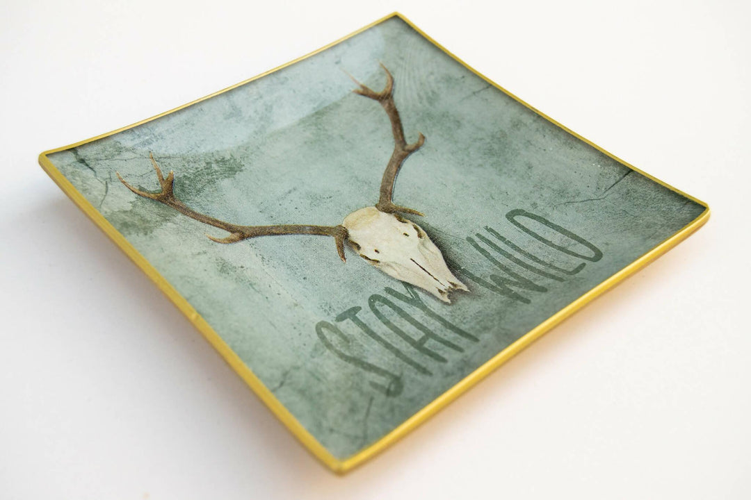 STAY WILD Conjunto 4 piezas Tellerwelt - Young Wild Hunters