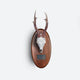 Taxidermia icon